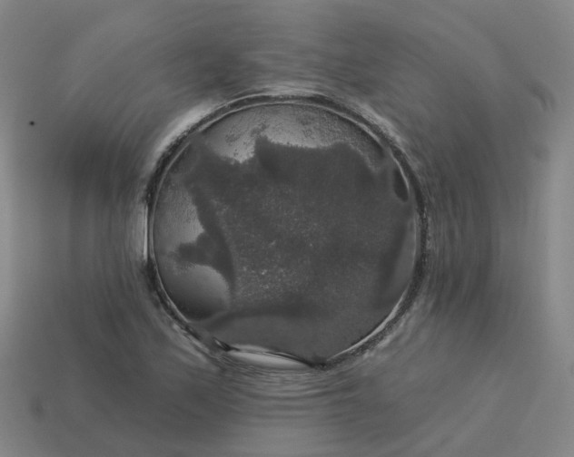 X0000114081171200910191536