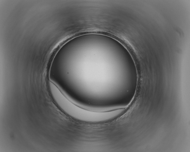 X0000114081173200910191536