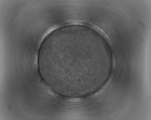 X0000114081174200910191536