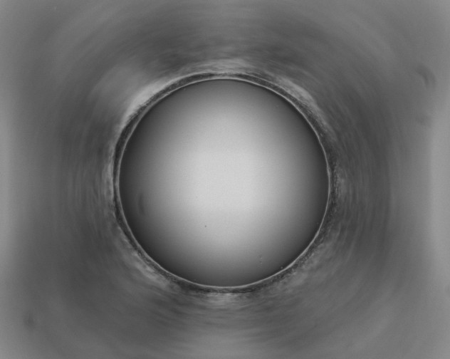 X0000114081176200910191536