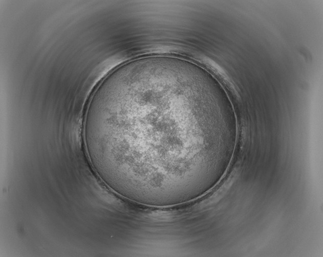 X0000114081178200910191536