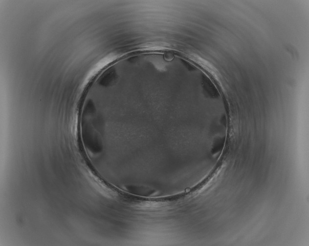 X0000114081179200910191536