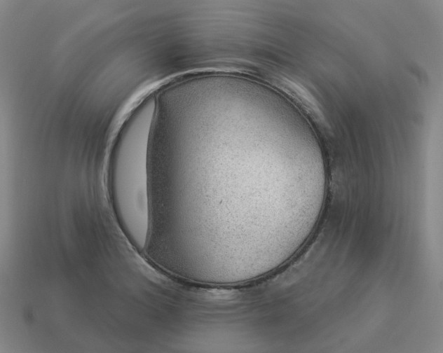 X0000114081180200910191536