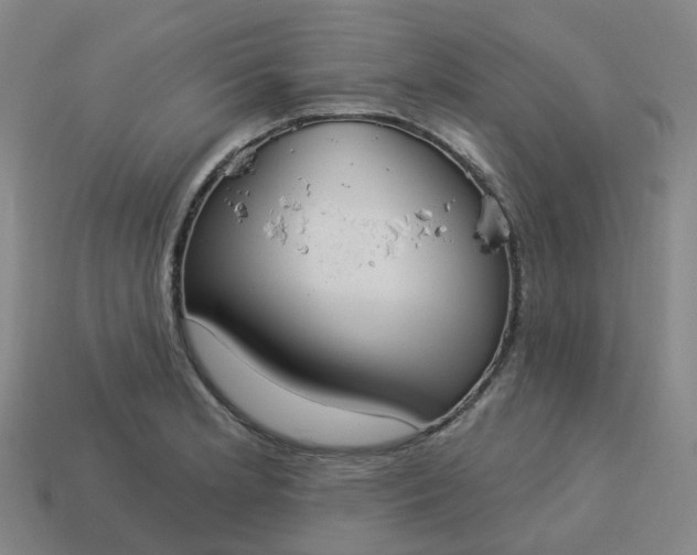 X0000114081181200910191536