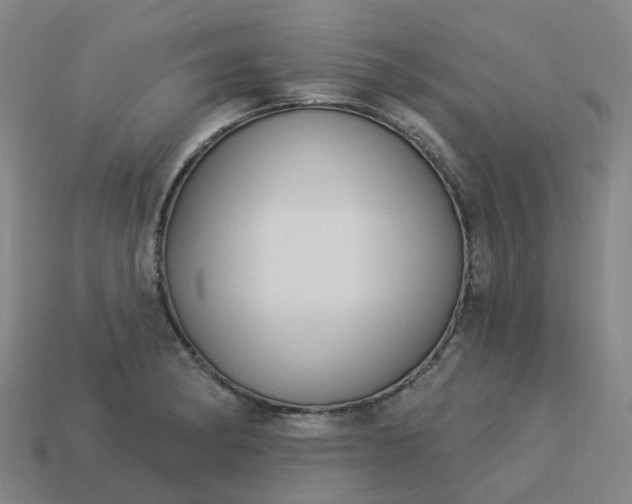 X0000114081182200910191536