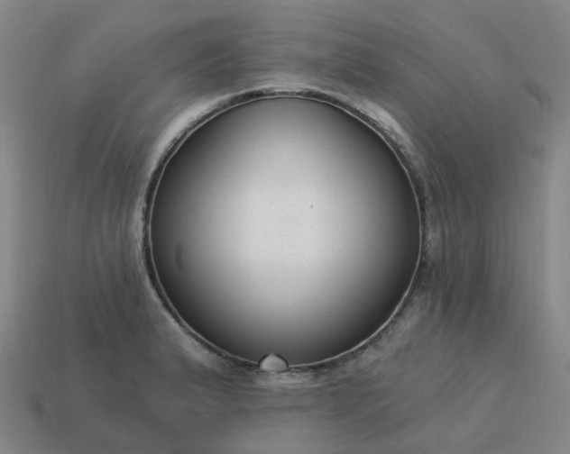 X0000114081183200910191536