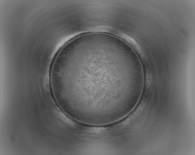 X0000114081184200910191536