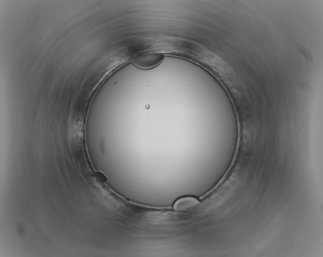 X0000114081185200910191536