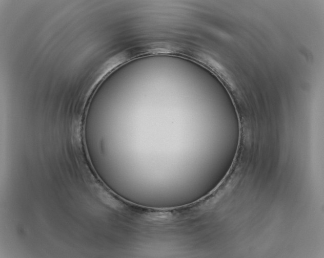 X0000114081186200910191536