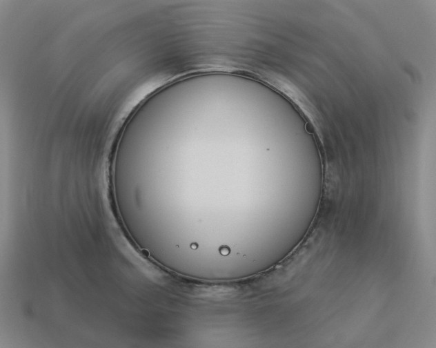 X0000114081187200910191536