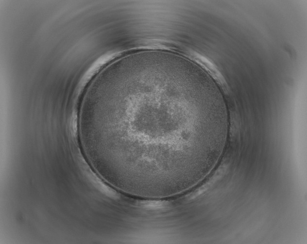 X0000114081188200910191536