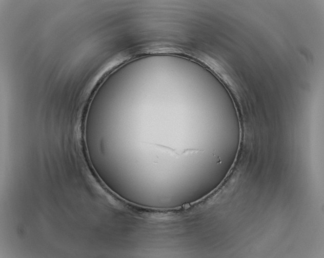 X0000114081189200910191536