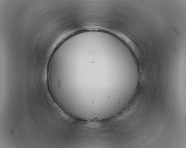 X0000114081191200910191536