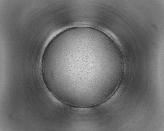 X0000114081192200910191536