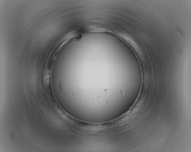 X0000114081193200910191536