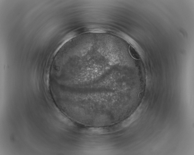 X0000114081194200910191536