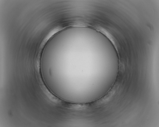 X0000114081195200910191536