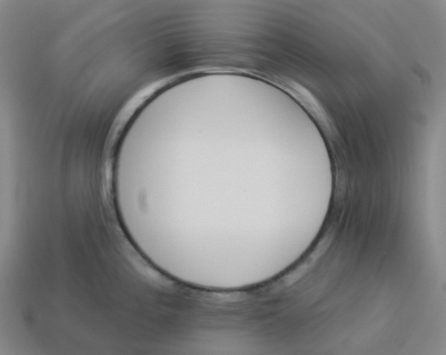 X0000114081196200910191536