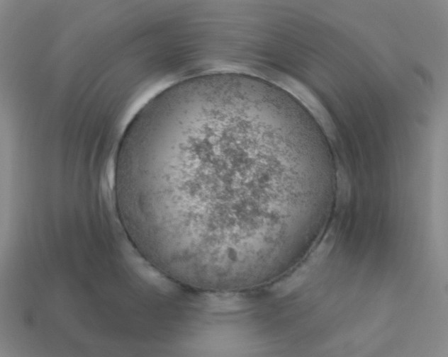 X0000114081198200910191536