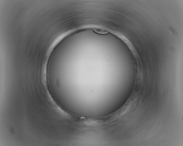 X0000114081199200910191536