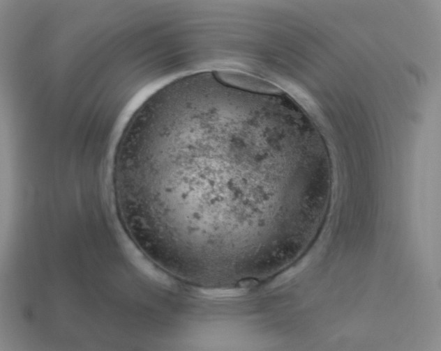 X0000114081200200910191536