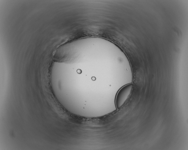 X0000114081201200910191535