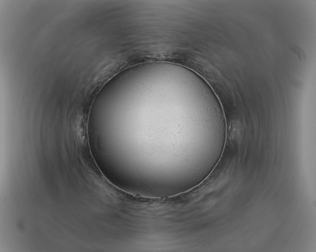 X0000114081202200910191535