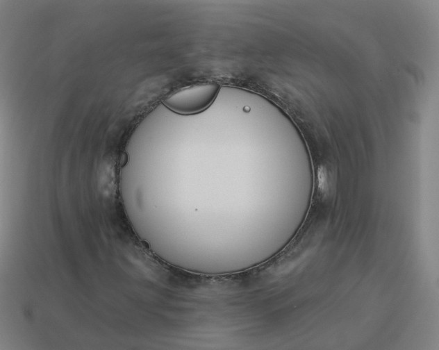 X0000114081203200910191535