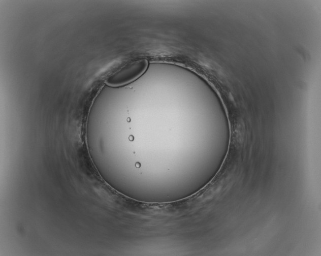 X0000114081205200910191535