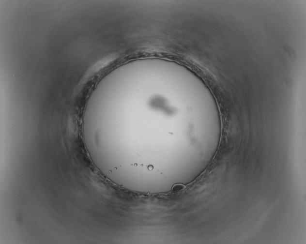 X0000114081207200910191535