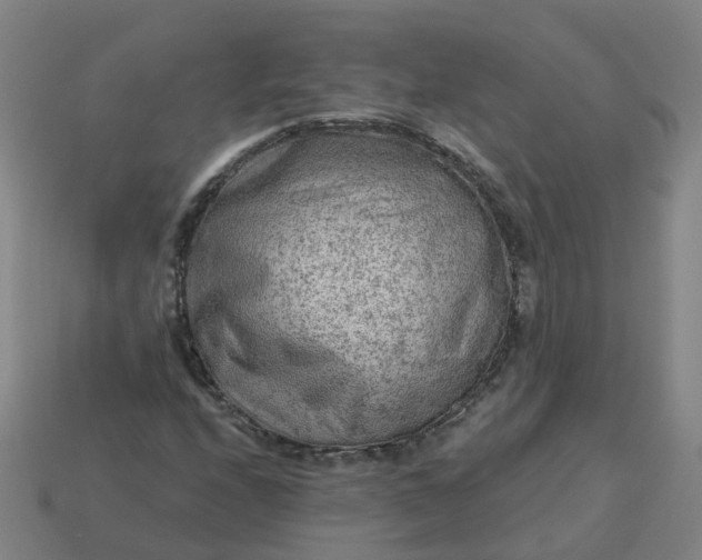 X0000114081208200910191535