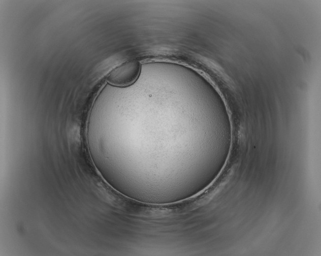 X0000114081209200910191535