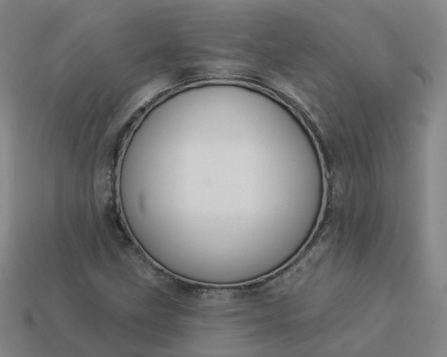 X0000114081211200910191535