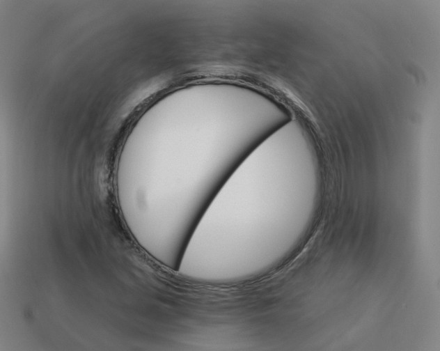 X0000114081213200910191535