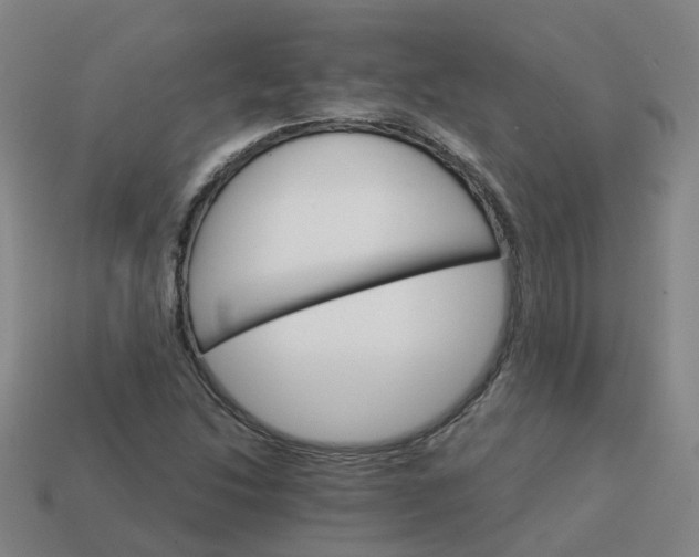 X0000114081214200910191535