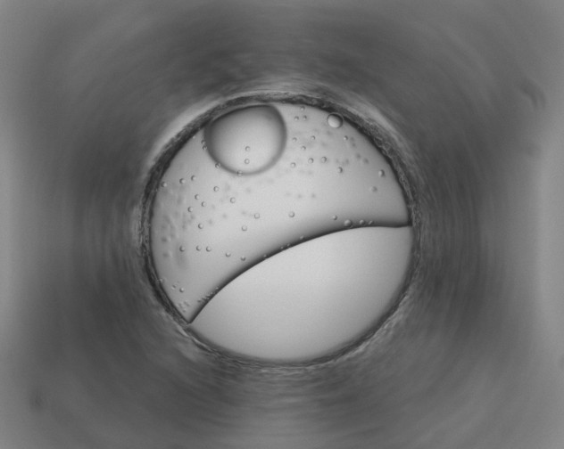 X0000114081216200910191535