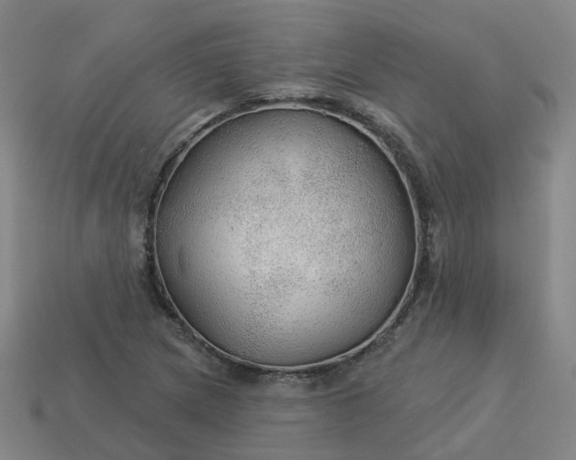 X0000114081217200910191535