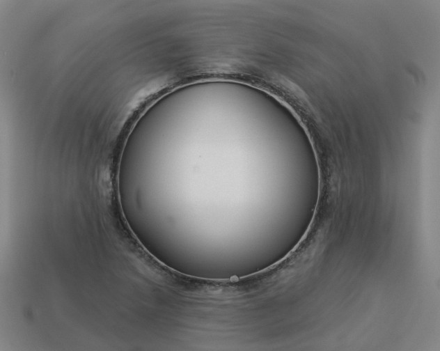 X0000114081218200910191535