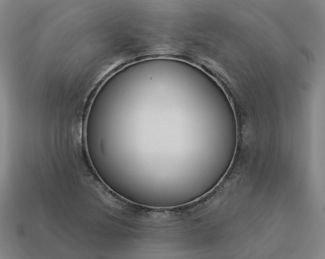 X0000114081220200910191535