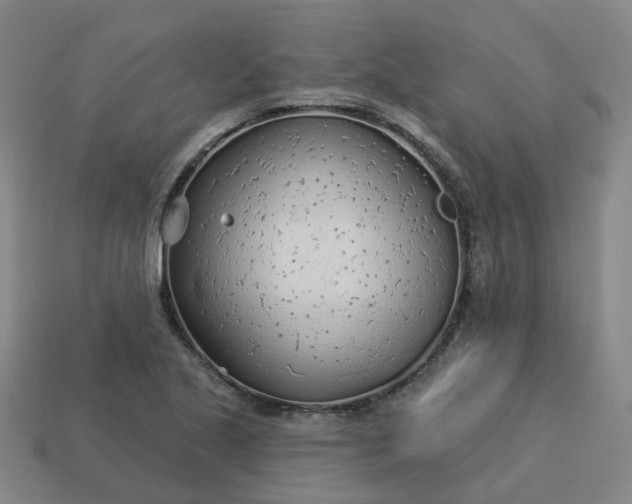 X0000114081221200910191535