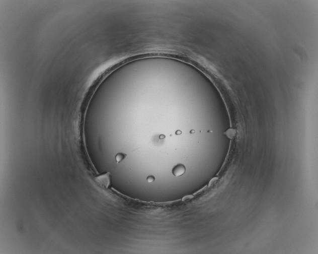 X0000114081222200910191536