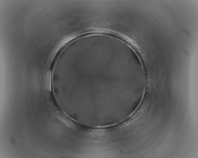 X0000114081223200910191536