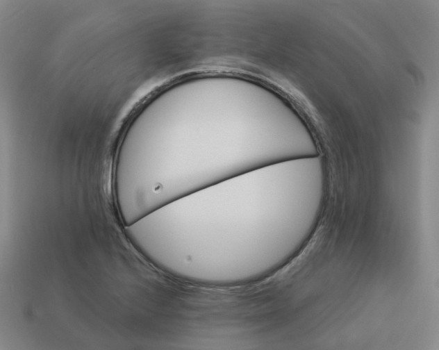 X0000114081224200910191536