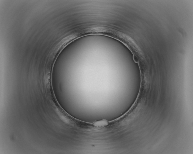 X0000114081225200910191536