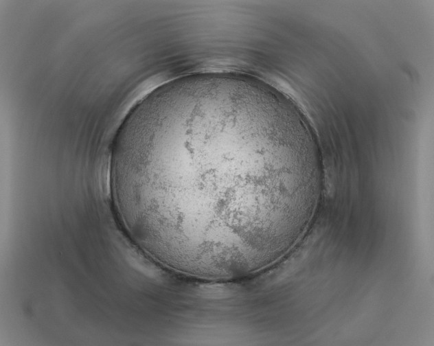 X0000114081227200910191536