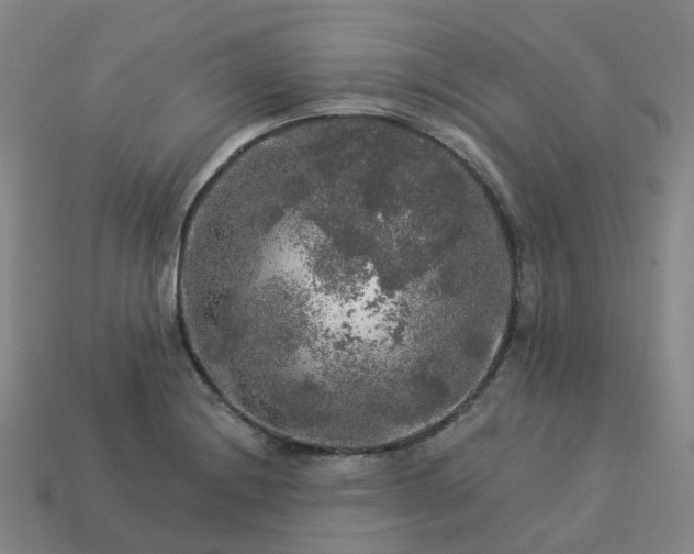 X0000114081228200910191536