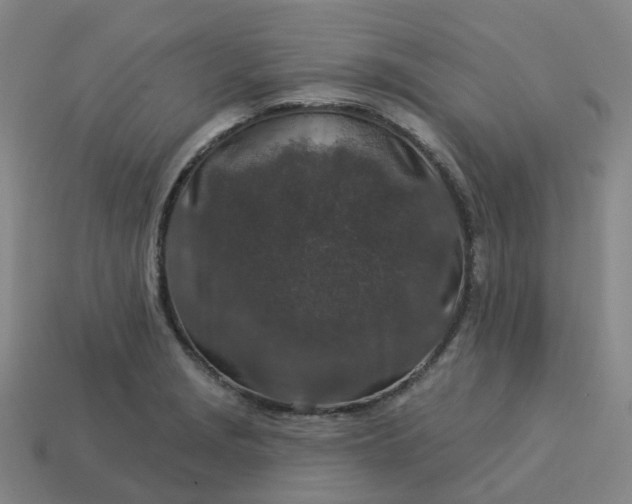 X0000114081229200910191536