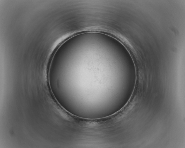 X0000114081230200910191536