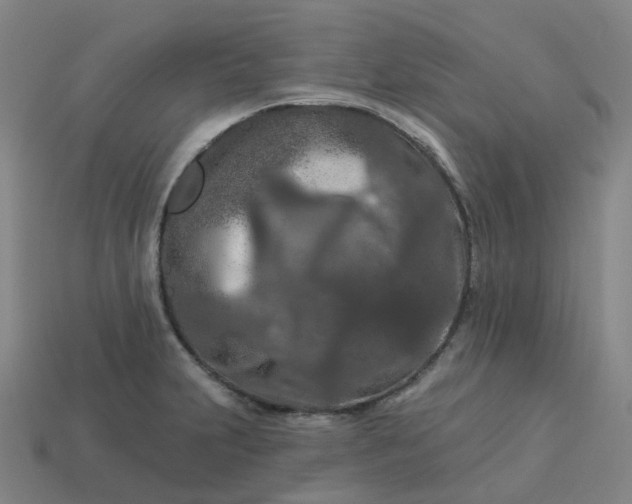 X0000114081231200910191536