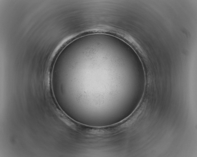 X0000114081232200910191536